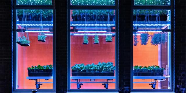 Laboratorium florystyczne w Warszawie